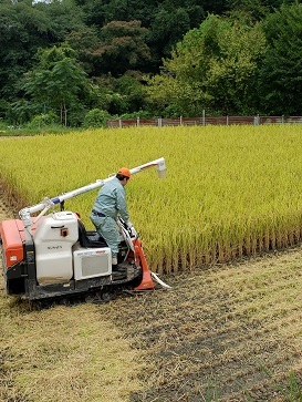 画像: 今日の彩美庵　徒然日記・・・　２０２３年　　長月、　９月　の　２